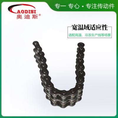 实力厂家AODISI双排链条耐腐耐酸抗拉耐磨滚子链工业链条定 制